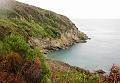 mare 003